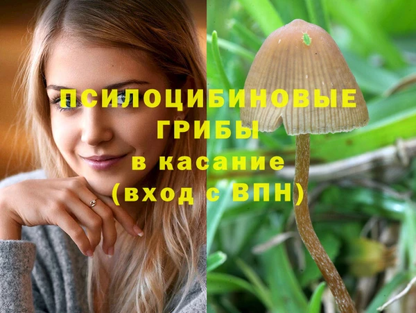 spice Верея