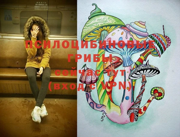 твердый Волоколамск