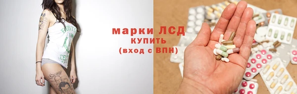 spice Верея