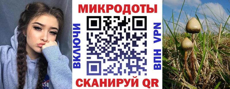 Псилоцибиновые грибы ЛСД  дарнет шоп  Любань 