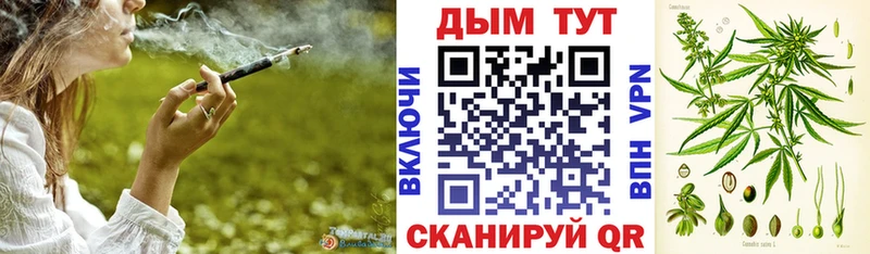 Каннабис планчик  Любань 